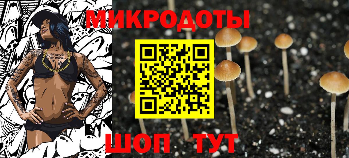 Тихорецк  Псилоцибиновые грибы прущие грибы  Вход с VPN 